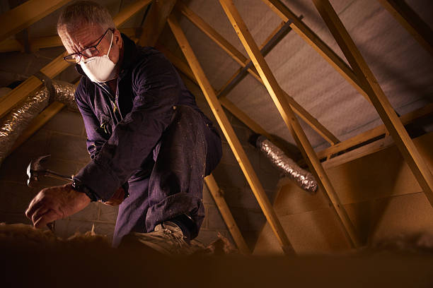 Best Insulation Installation Services in Woodcreek, TX