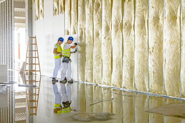 Best Insulation Maintenance and Repair in Woodcreek, TX